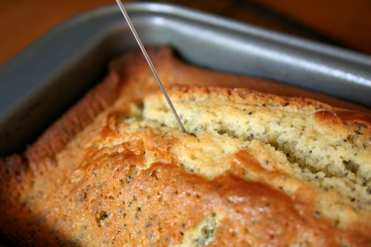 caketester